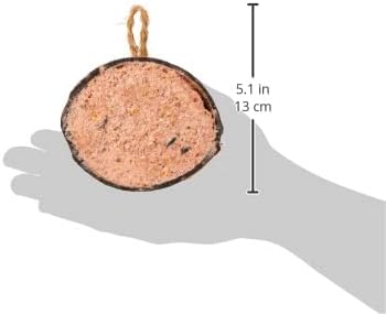 Garden Ting Berry Suet Coconut Halves Wild Bird Treat - 12 Count
