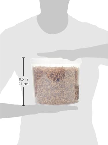 Premium Dried Mealworms, 5 Litre Tub