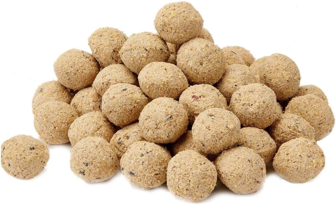 Premium Suet Fat Balls Wild Bird, Pack of 50