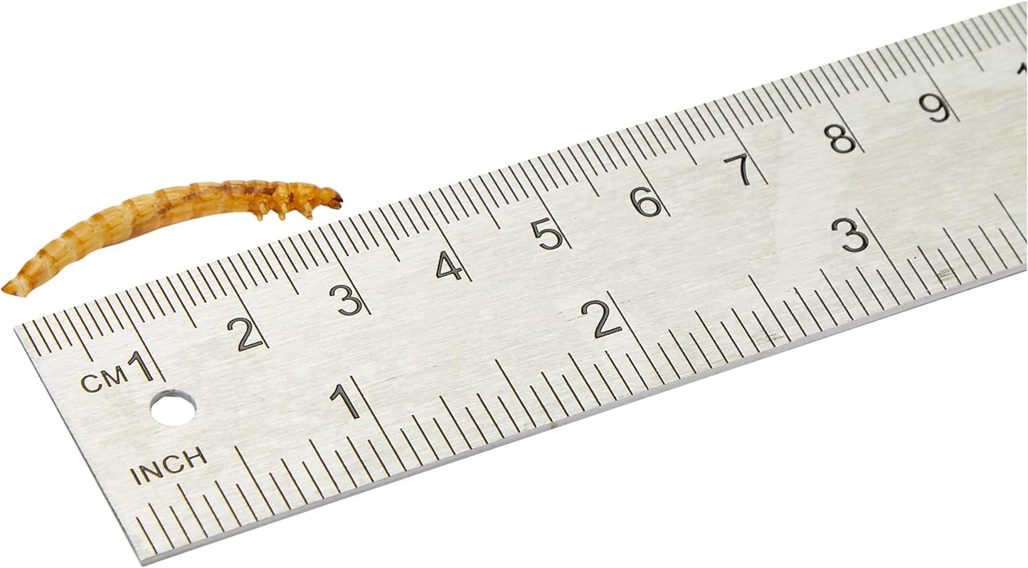 Premium Dried Mealworms, 5 Litre Tub