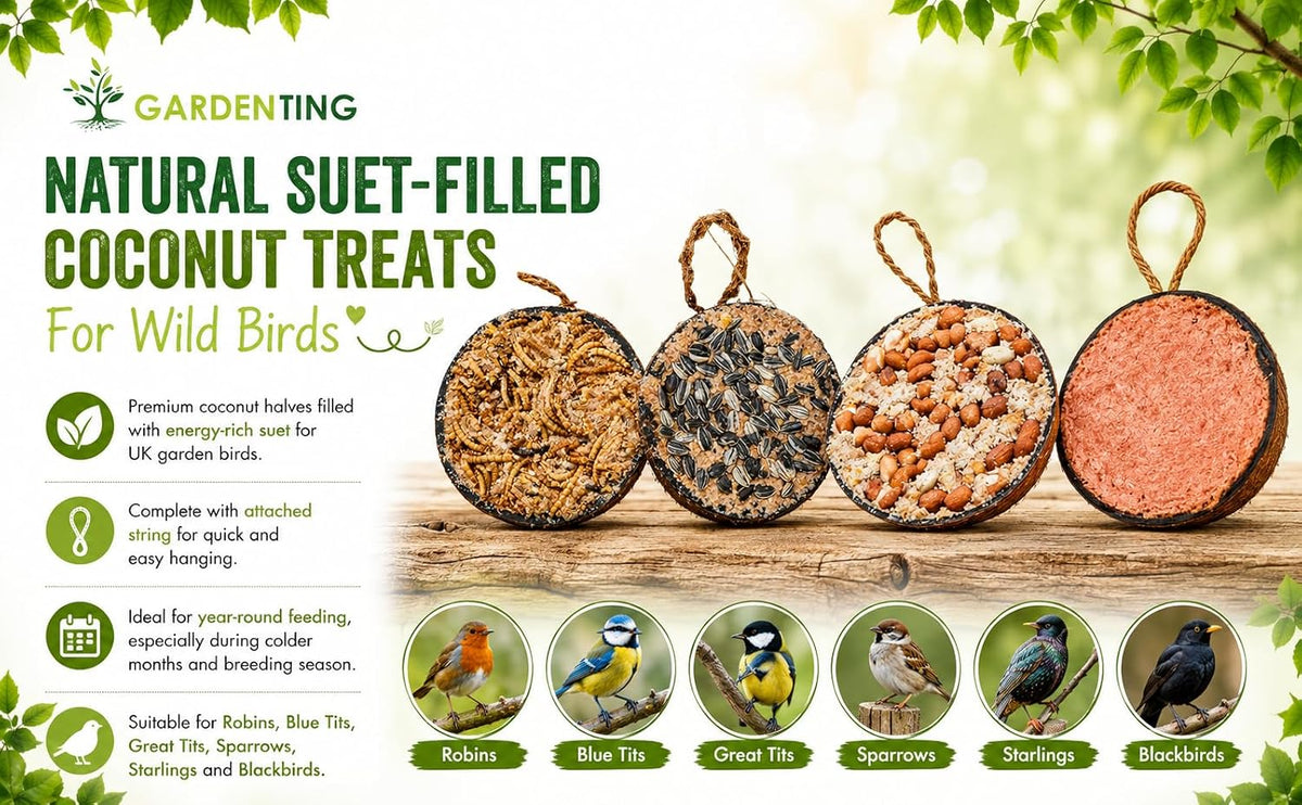 Garden Ting Peanut Coconut Halves Wild Bird Treat Suet, 2 Pack