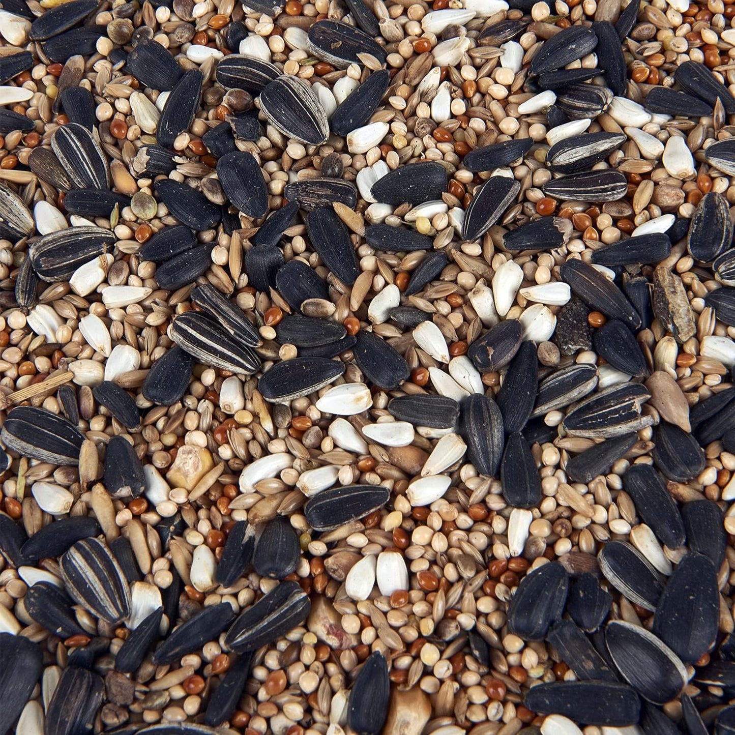 Premium Cockatiel and Parakeet Bird Food 3L Tub