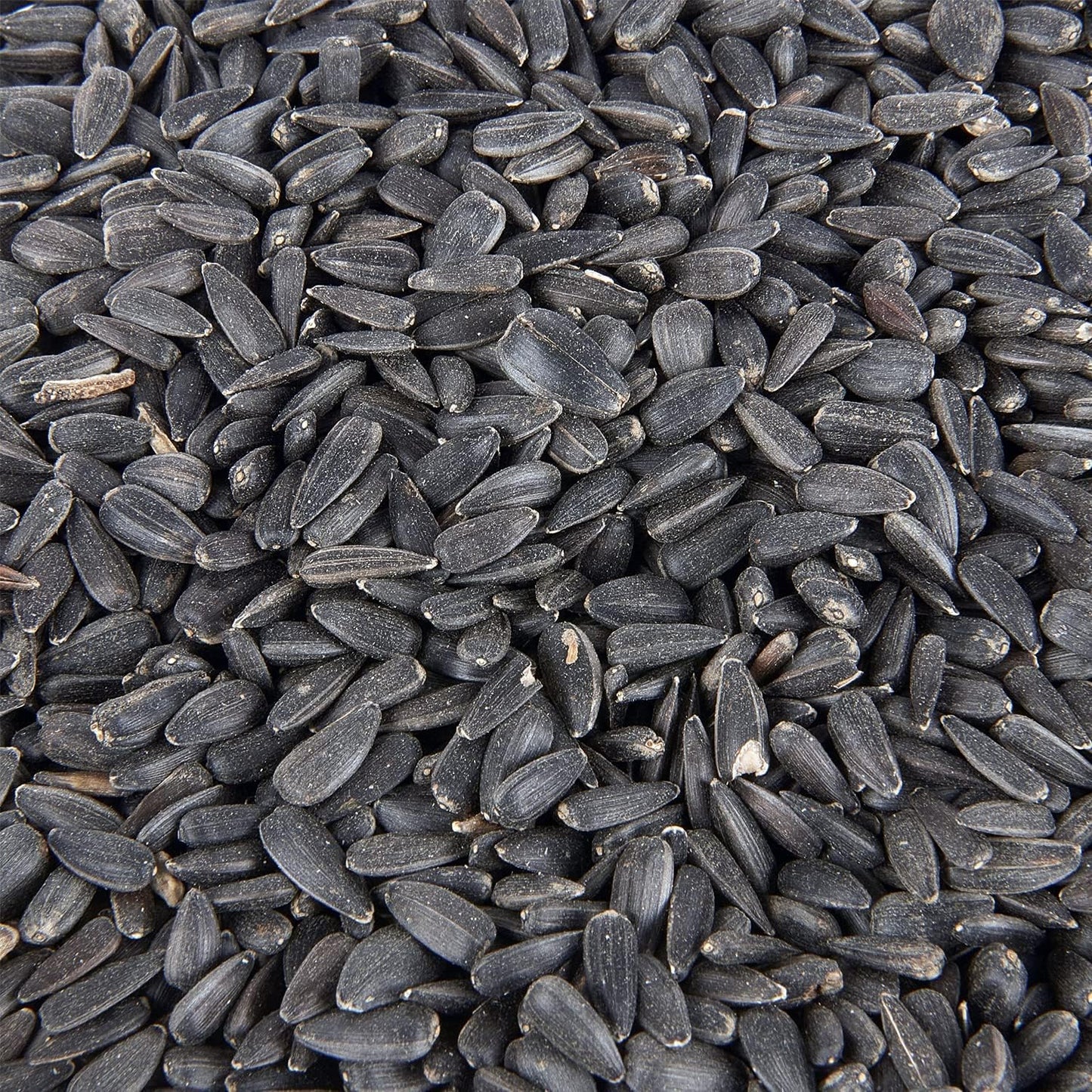 Premium Black Sunflower Seed Wild Bird Food 3L Tub