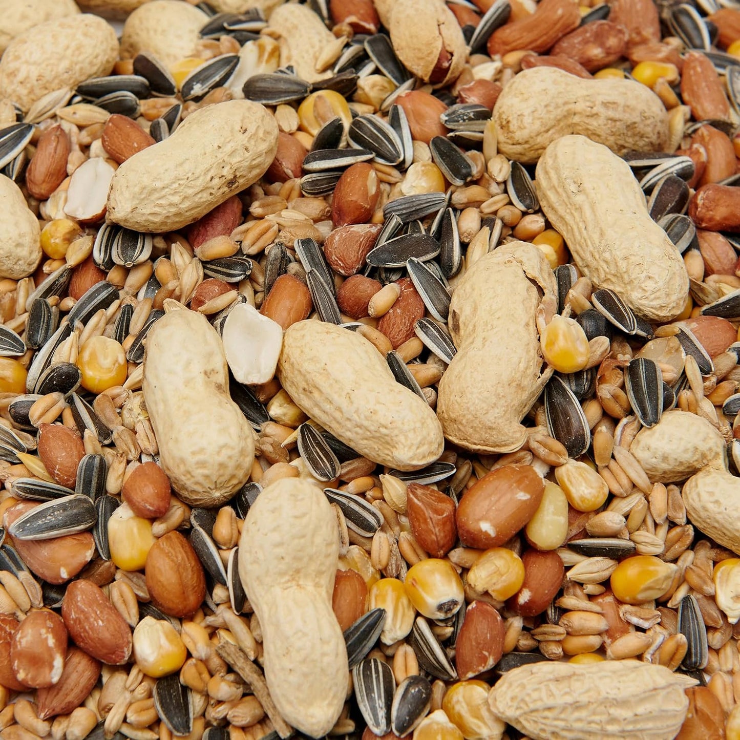 Garden Ting Squirrel Mix 1KG Pouch