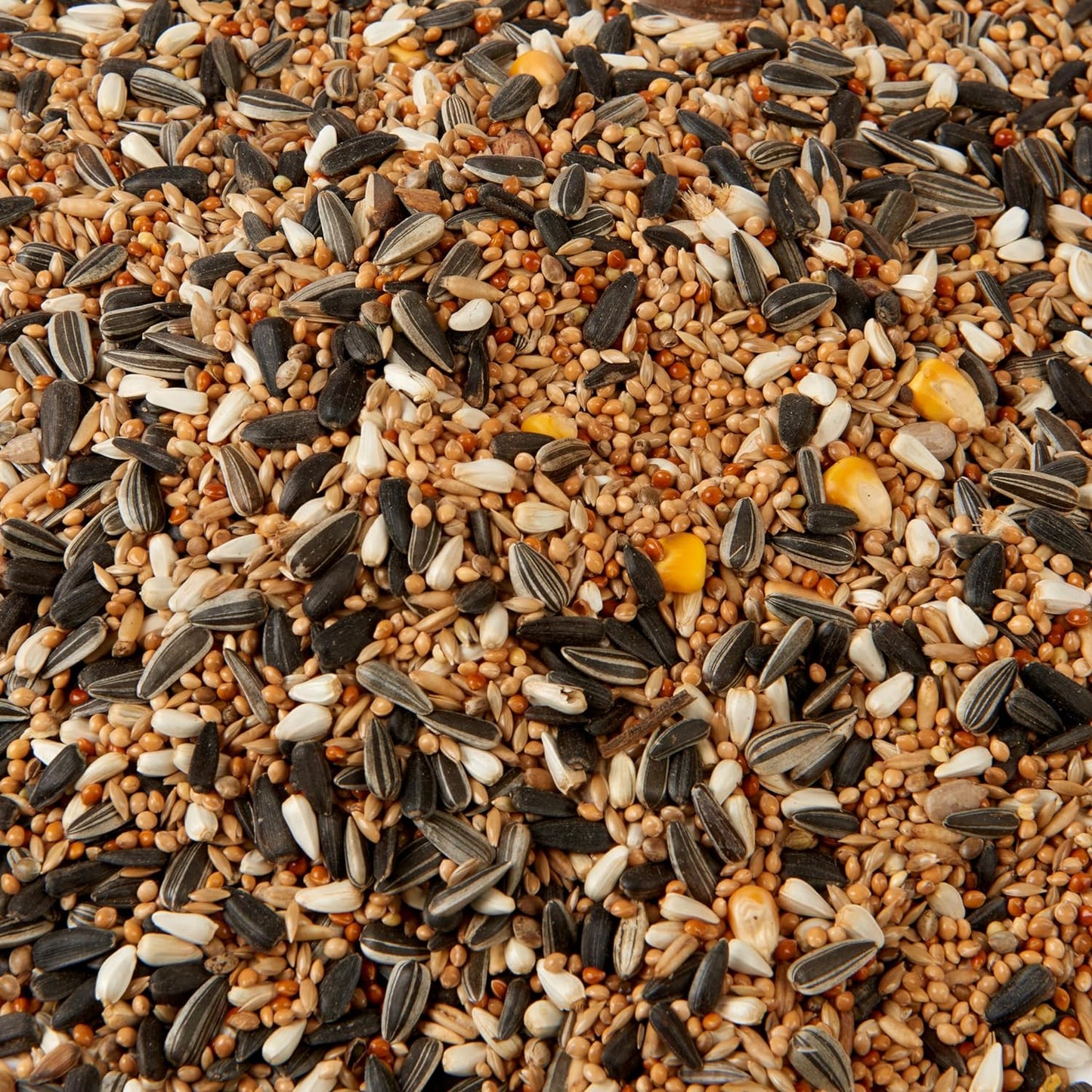 Cockatiel & Parakeet 2.5L Tub