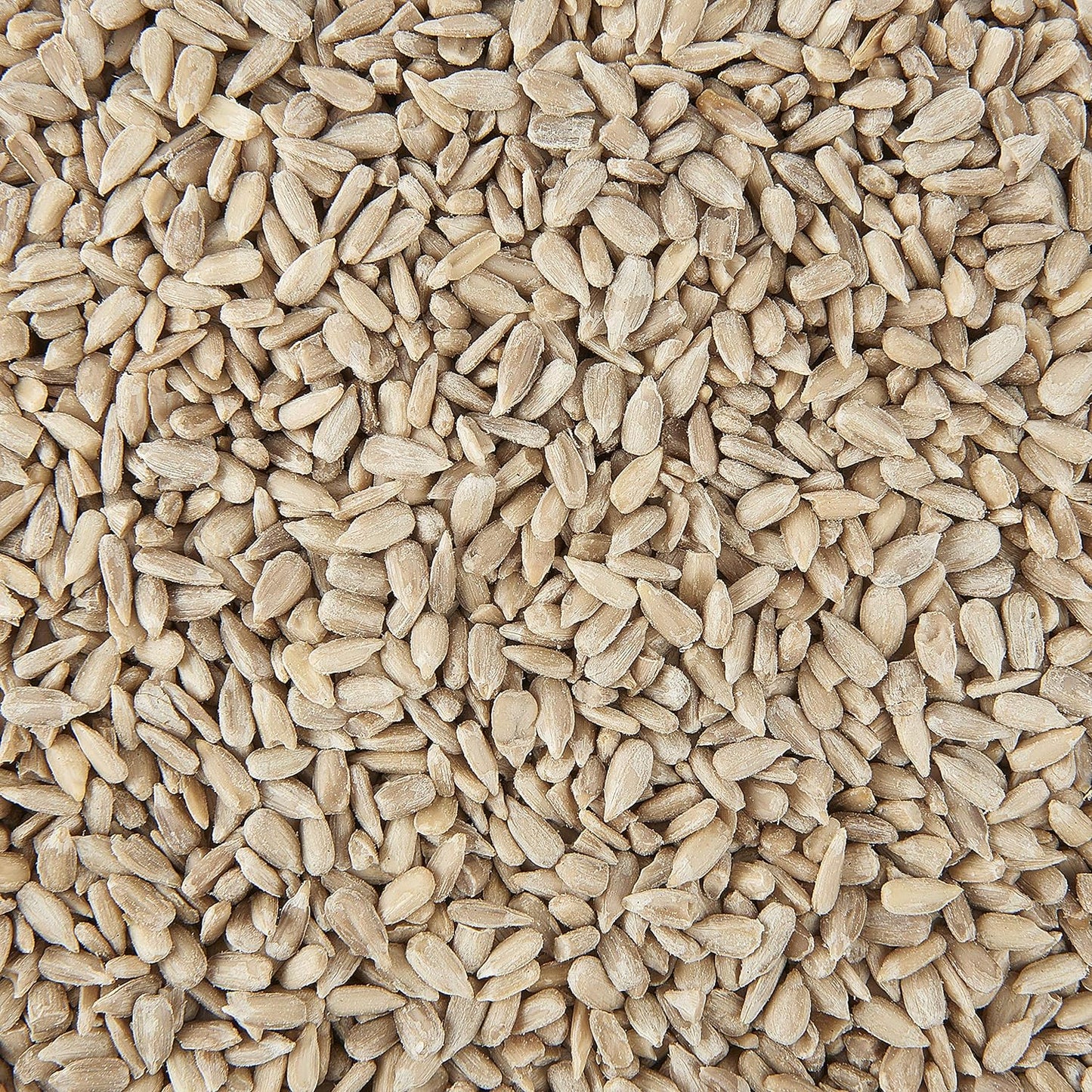 Garden Ting Premium Sunflower Hearts Kernels, Wild Bird Food Tub, 3 Litre