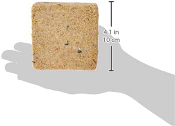 Garden Ting Mealworm Suet Block Wild Bird Treat, 12 x 300g