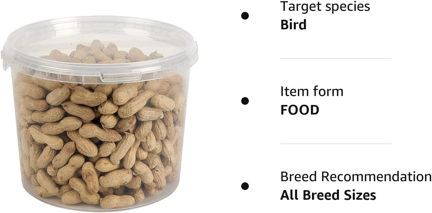 Premium Peanuts In Shell Monkey Nuts 3L Tub
