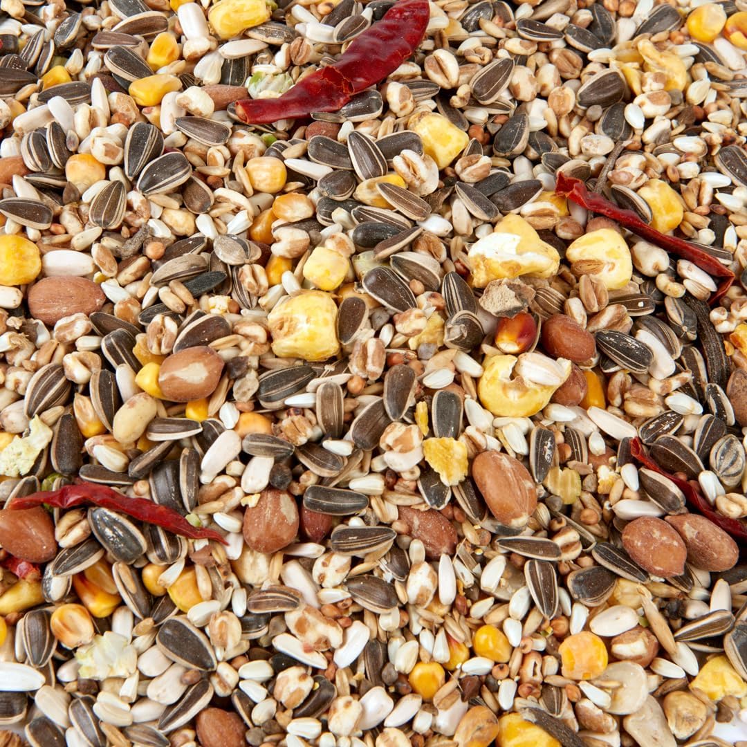 Premium Parrot Food (2.5L, No1 Mix)