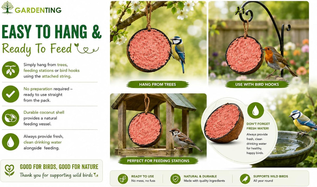 Garden Ting Peanut Coconut Halves Wild Bird Treat Suet, 2 Pack
