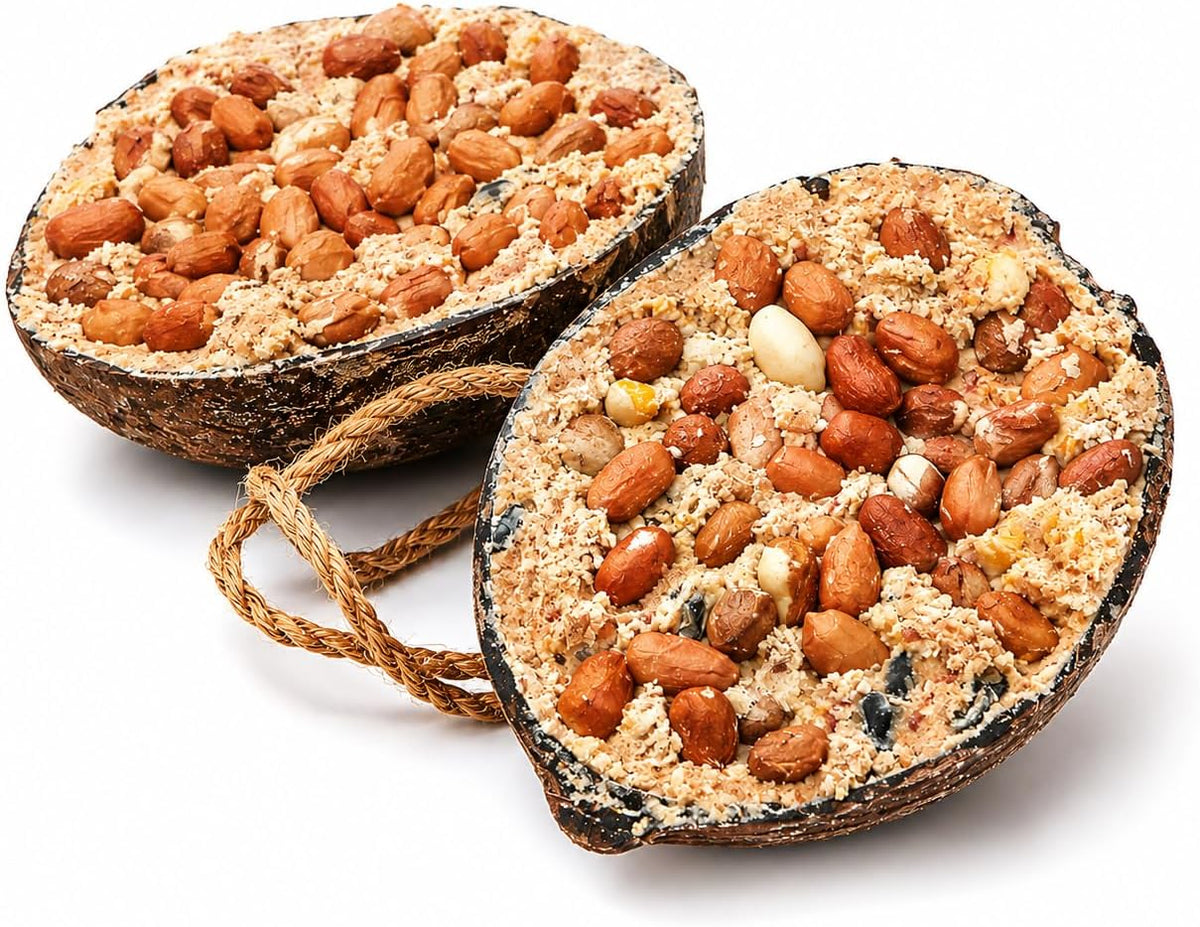 Garden Ting Peanut Coconut Halves Wild Bird Treat Suet, 2 Pack