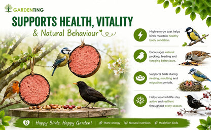 Garden Ting Berry Coconut Suet Halves Wild Bird Treat, 2 Pack