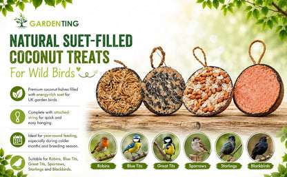 Garden Ting Berry Coconut Suet Halves Wild Bird Treat, 2 Pack