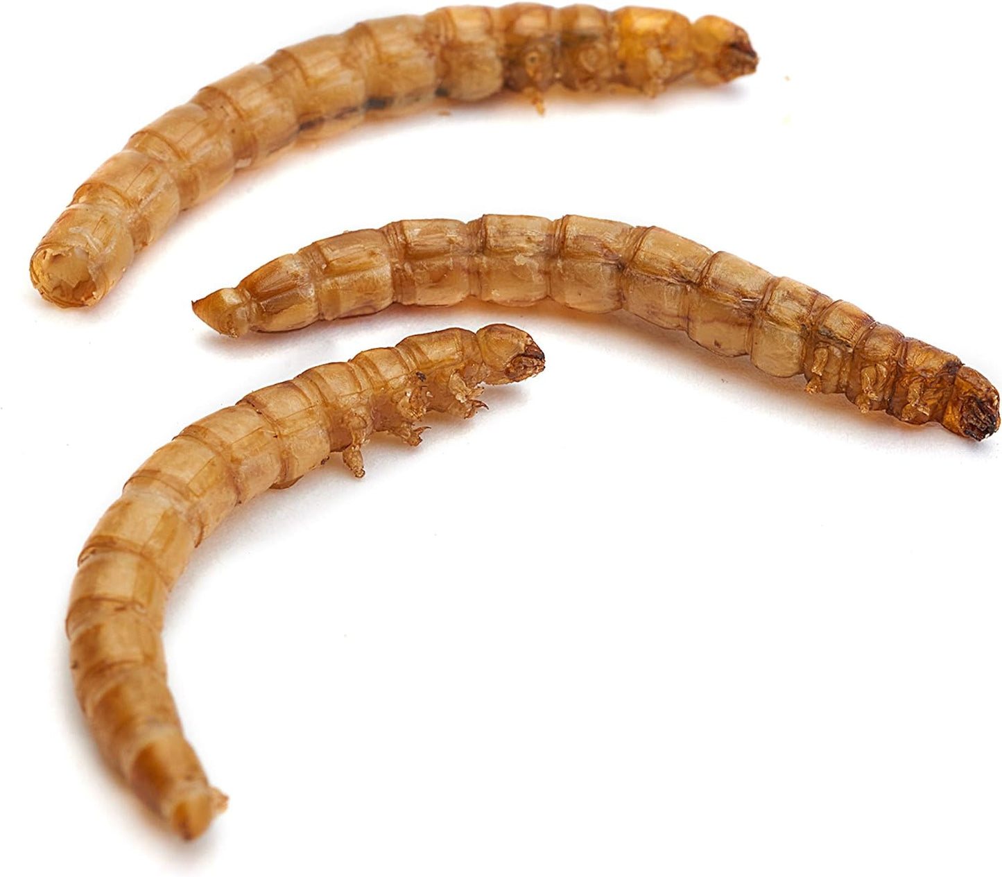 Premium Dried Mealworms, 10 Litre Bucket