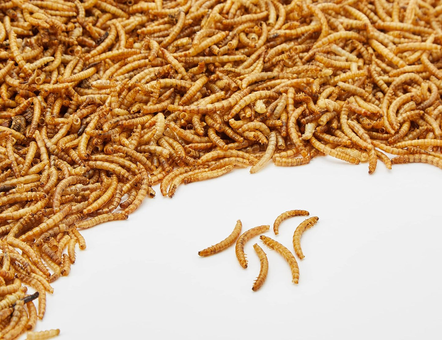 Premium Dried Mealworms, 5 Litre Tub
