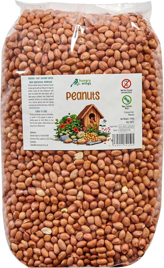 Premium Wild Bird Food 5L Refill, (5L Bag, Peanuts)