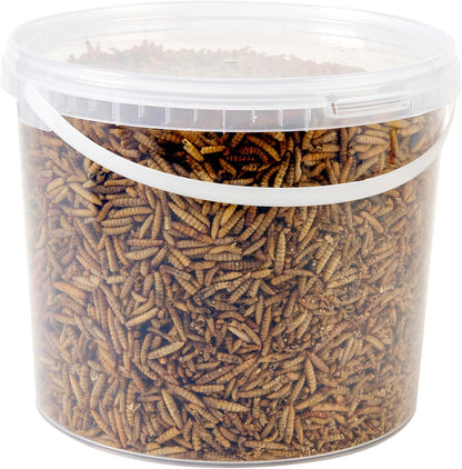 Wild Bird Food 5L Tub (5L Tub, Calci Worms)