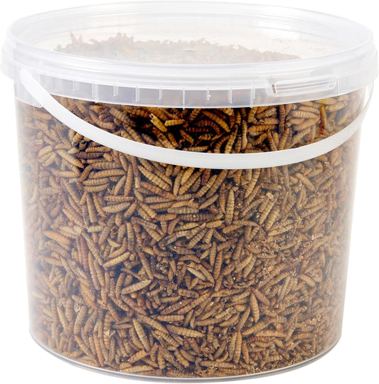 Wild Bird Food 5L Tub (5L Tub, Calci Worms)