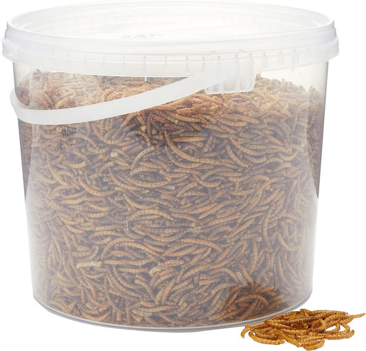 Premium Dried Mealworms, 5 Litre Tub