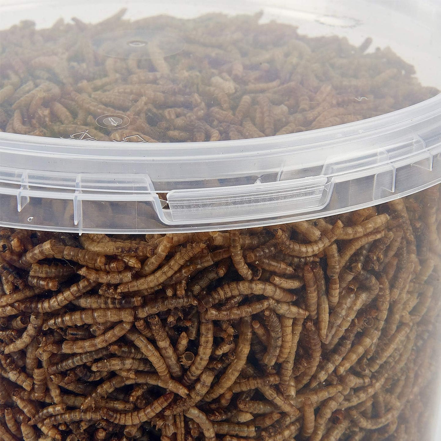 Garden Ting Dried Mealworms Tub, 3 Litre