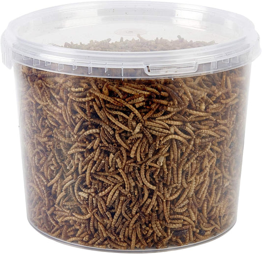 Garden Ting Dried Mealworms Tub, 3 Litre