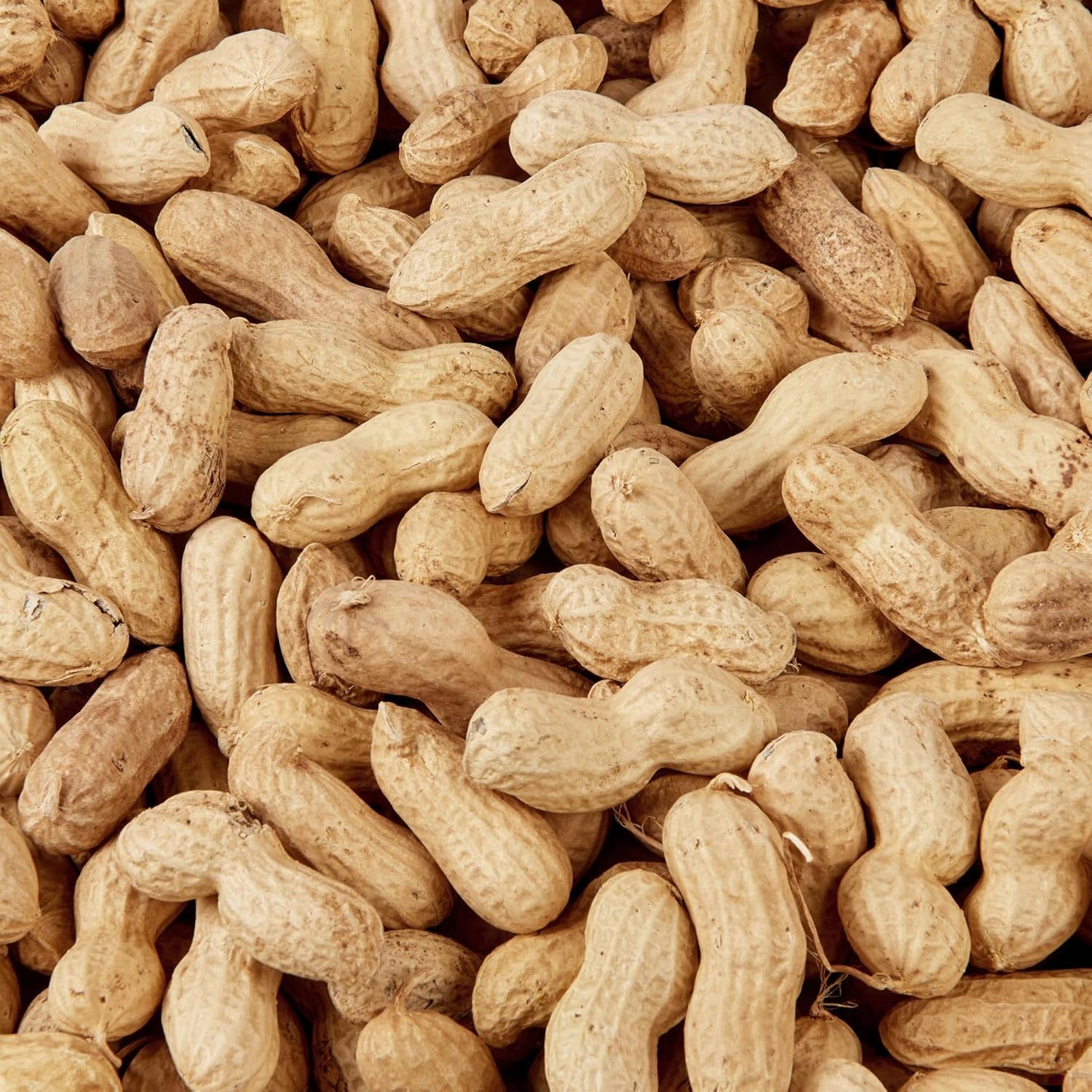Wild Bird Food 5L Tub (5L Tub, Peanuts In Shell)