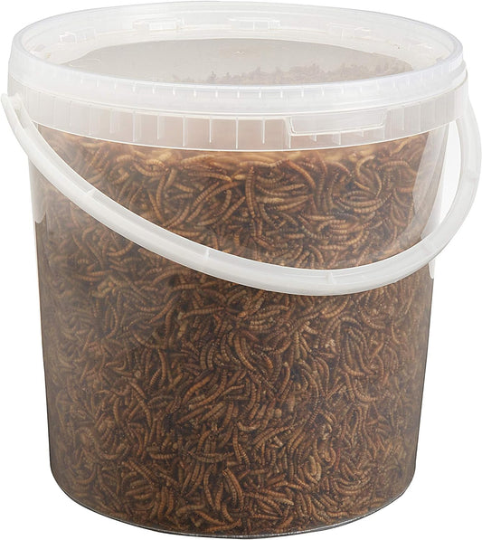 Premium Dried Mealworms, 10 Litre Bucket