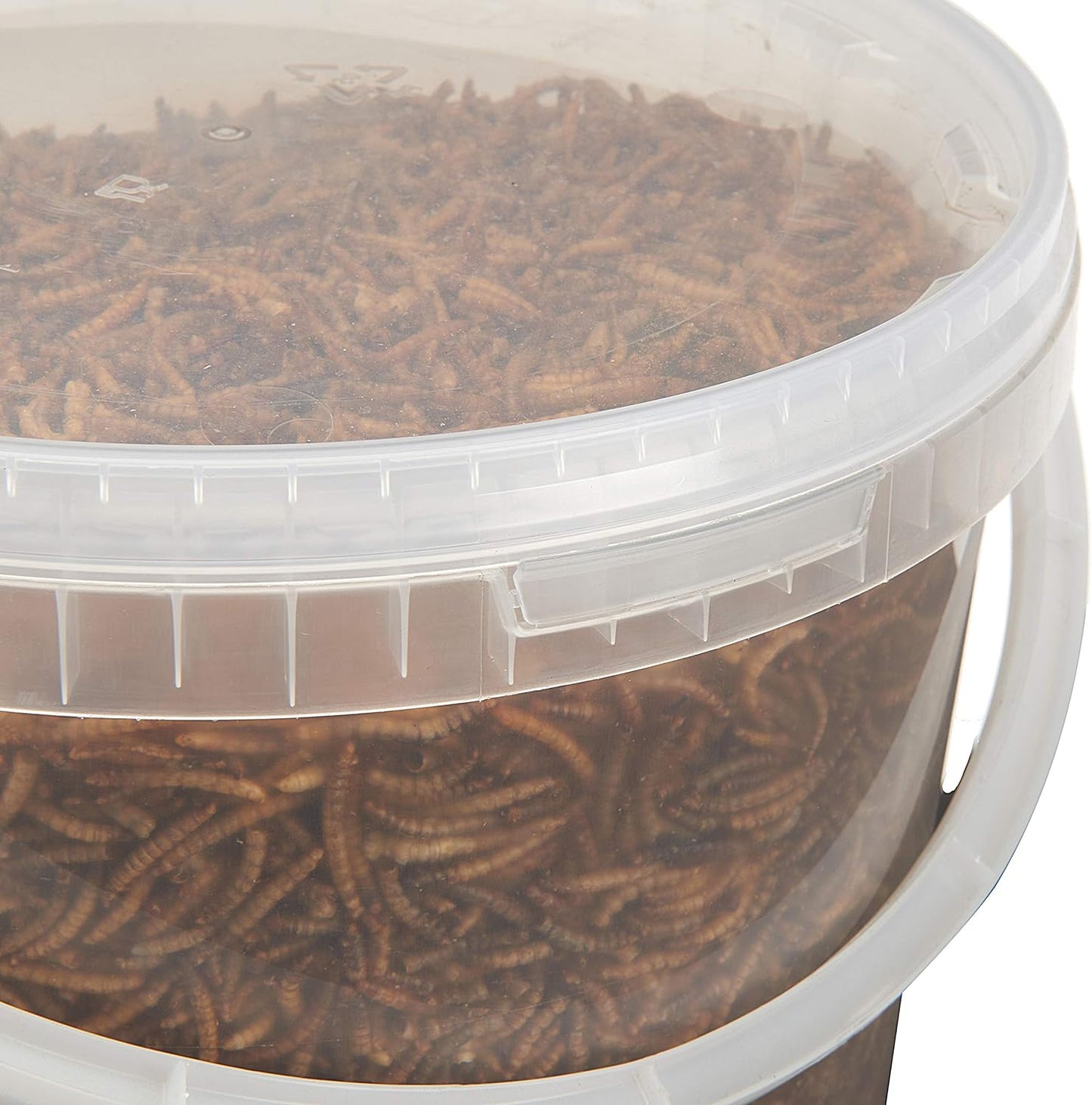Premium Dried Mealworms, 10 Litre Bucket