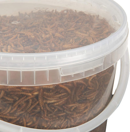Premium Dried Mealworms, 10 Litre Bucket
