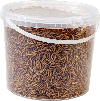 Wild Bird Food 5L Tub (5L Tub, Dried Mealworms)