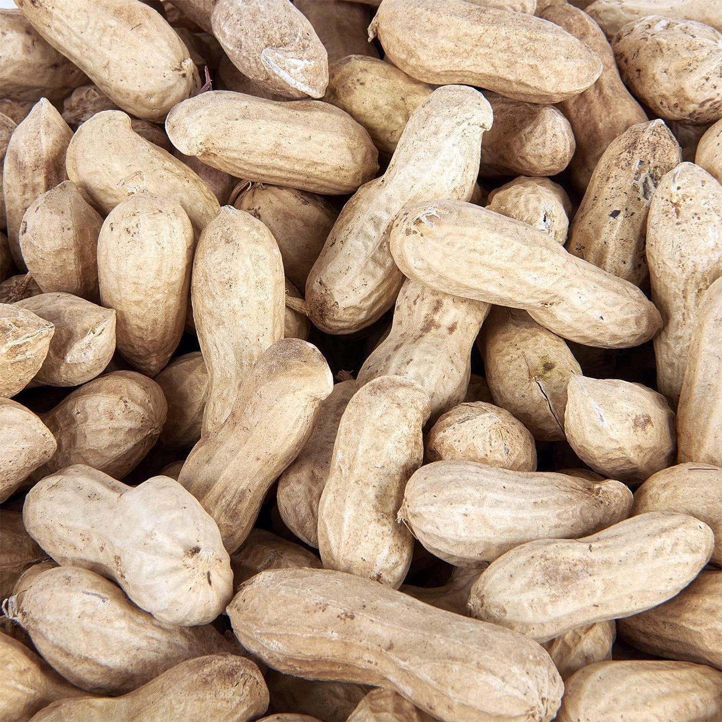 Premium Peanuts In Shell Monkey Nuts 3L Tub