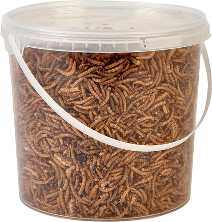 Dried Mealworms 2.5L Tub