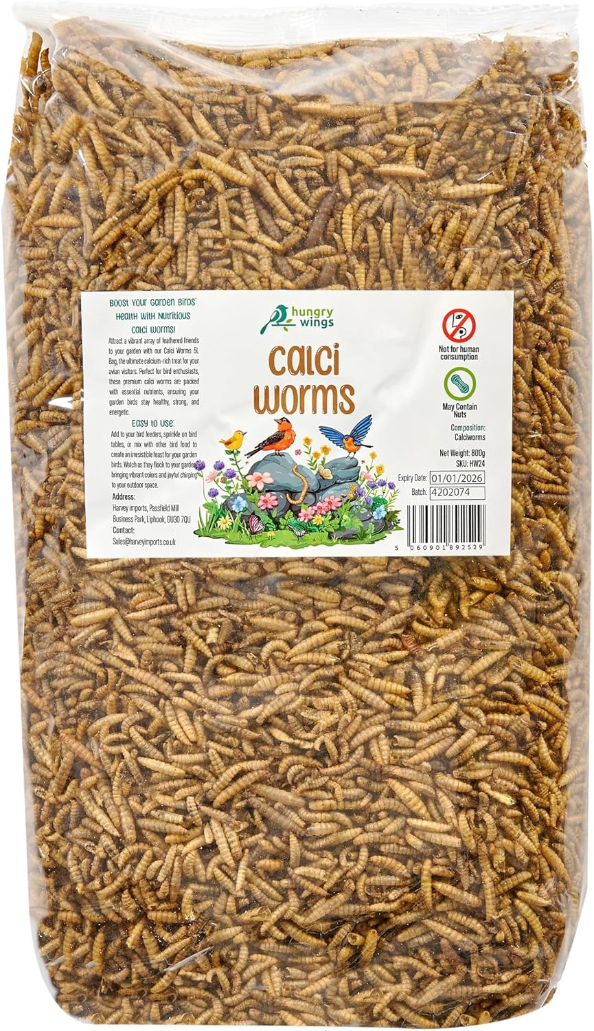 Premium Wild Bird Food 5L Refill, (5L Bag, Calci Worms)