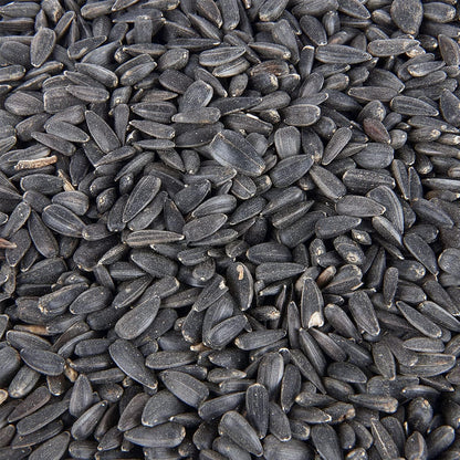 Premium Black Sunflower Seed Wild Bird Food 3L Tub