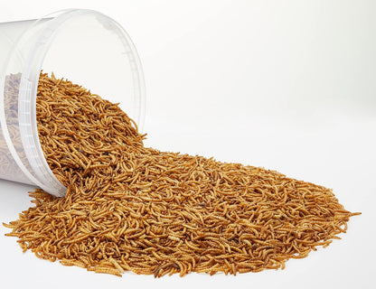 Premium Dried Mealworms, 5 Litre Tub