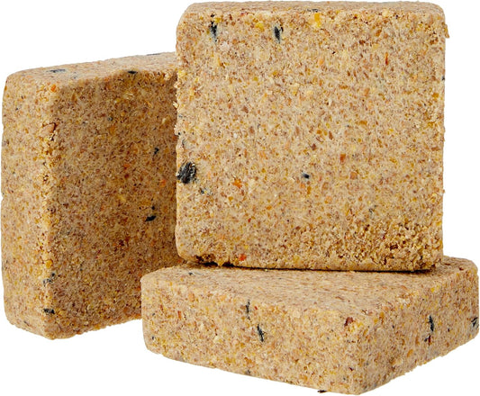 Garden Ting Mealworm Suet Block Wild Bird Treat, 12 x 300g