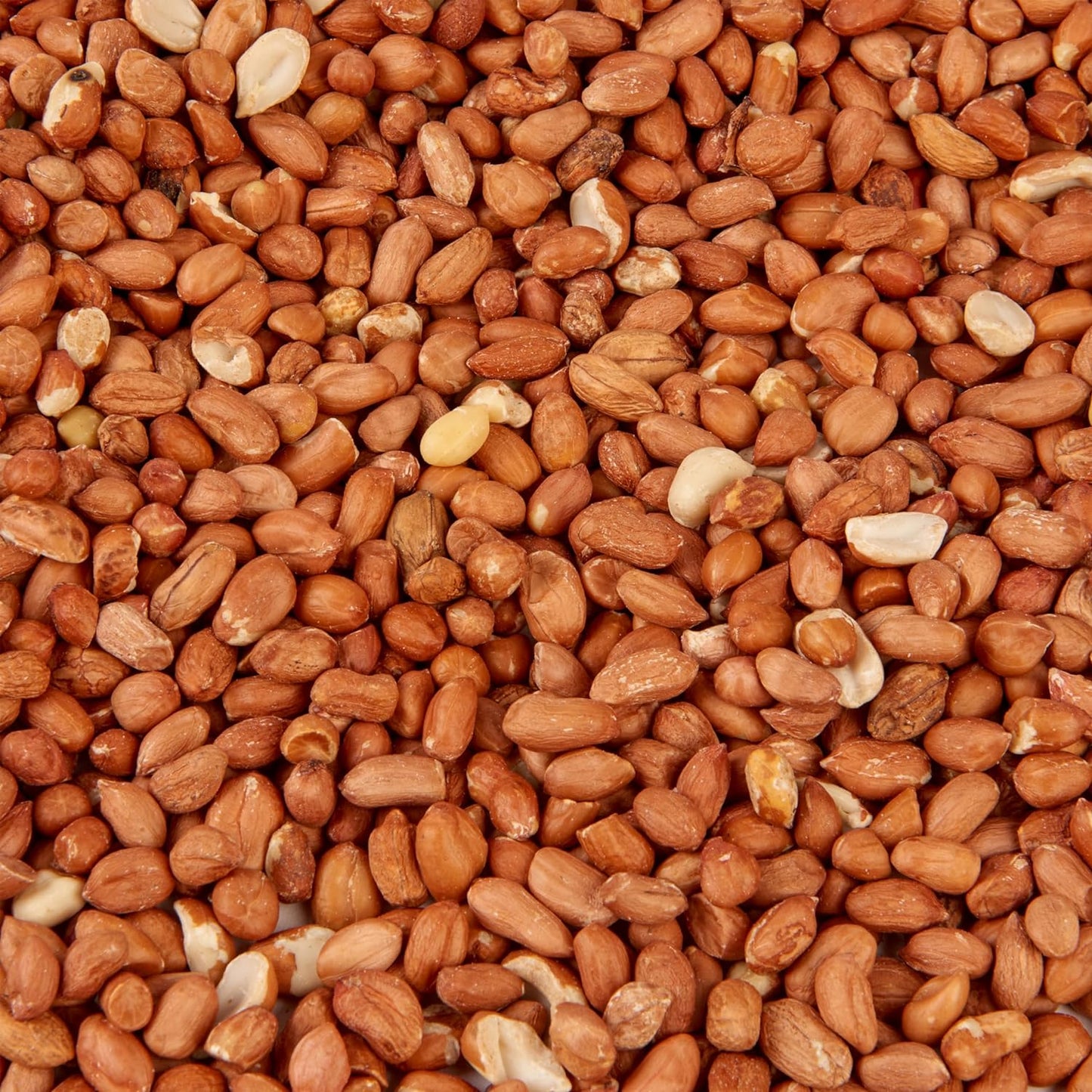 Peanuts Kernels 2.5L Tub