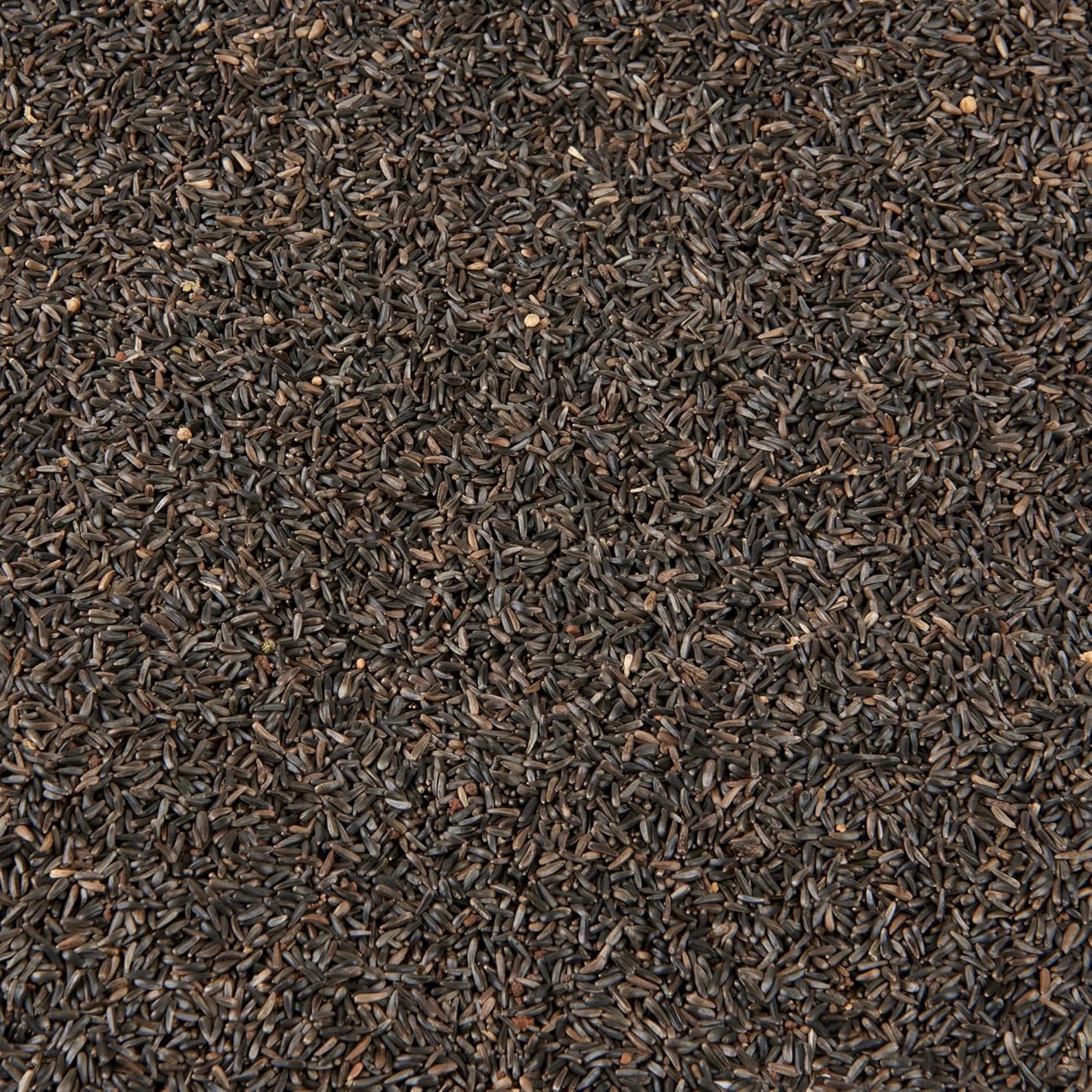 Premium Wild Bird Food 5L Refill, (5L Bag, Niger Seed)