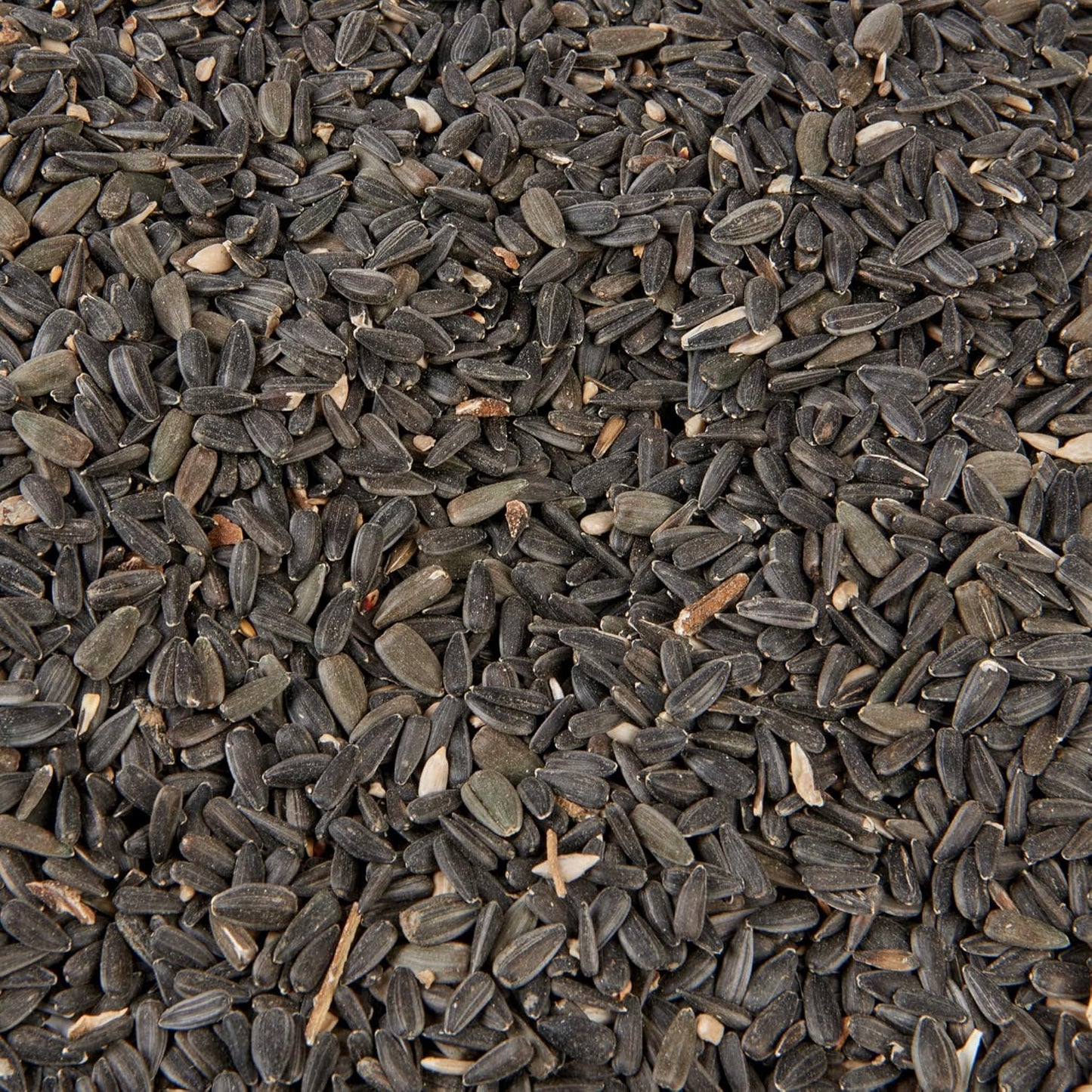 Wild Bird Food 5L Tub (5L Tub, Black Sunflower)