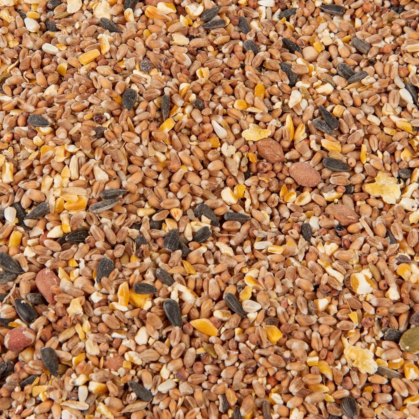 Premium Wild Bird Food 5L Refill, (5L Bag, Wild Bird Mix)