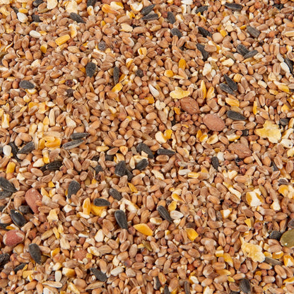 Premium Wild Bird Food 5L Refill, (5L Bag, Wild Bird Mix)