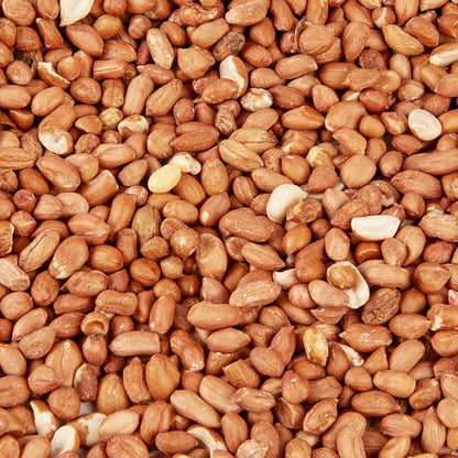 Premium Wild Bird Food 5L Refill, (5L Bag, Peanuts)