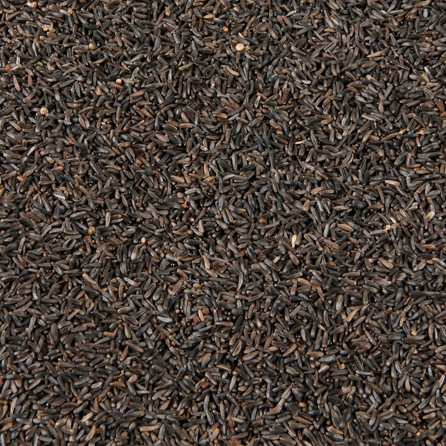 Wild Bird Food 5L Tub (5L Tub, Niger Seed)