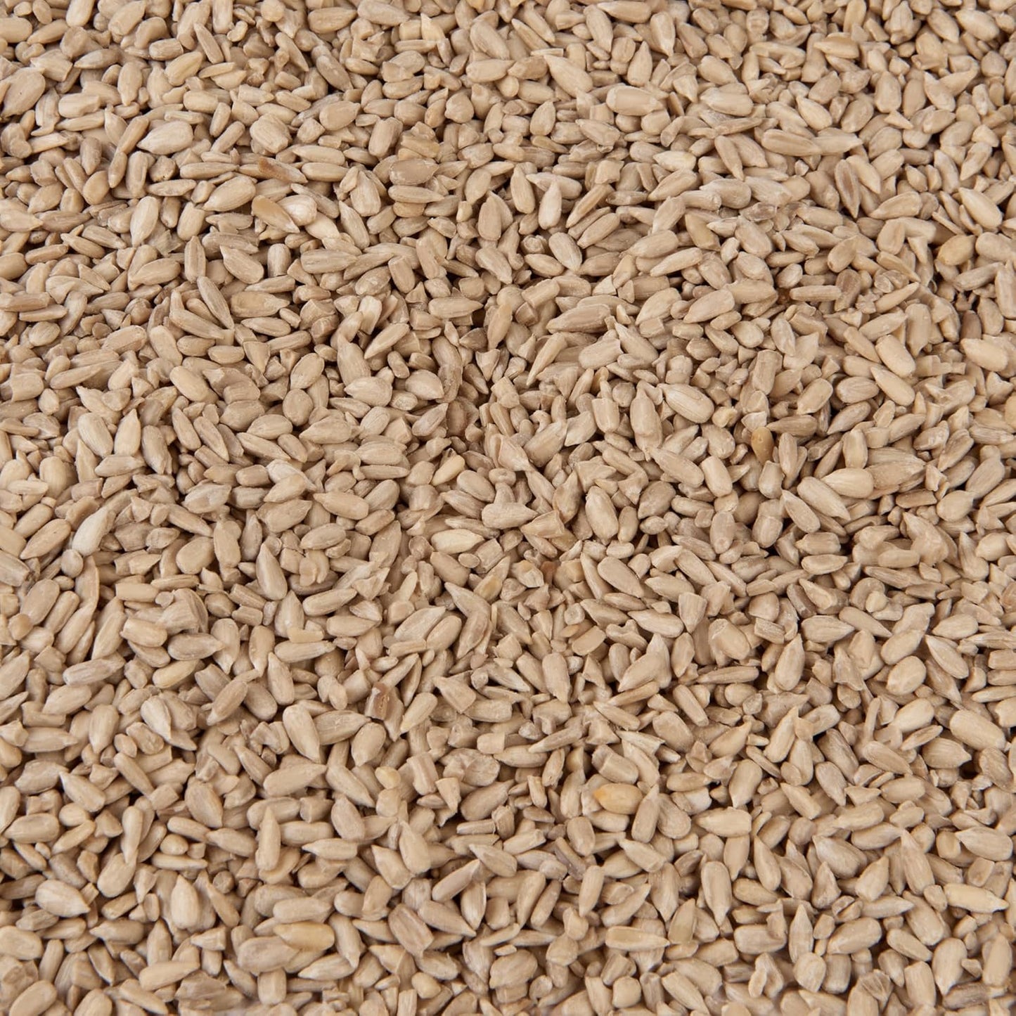 Premium Wild Bird Food 5L Refill, (5L Bag, Sunflower Hearts)