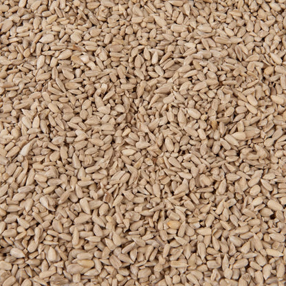 Premium Wild Bird Food 5L Refill, (5L Bag, Sunflower Hearts)