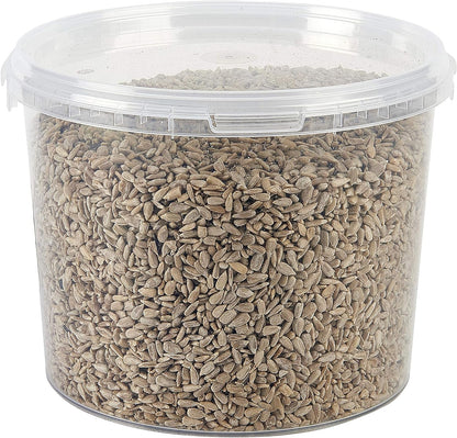 Garden Ting Premium Sunflower Hearts Kernels, Wild Bird Food Tub, 3 Litre