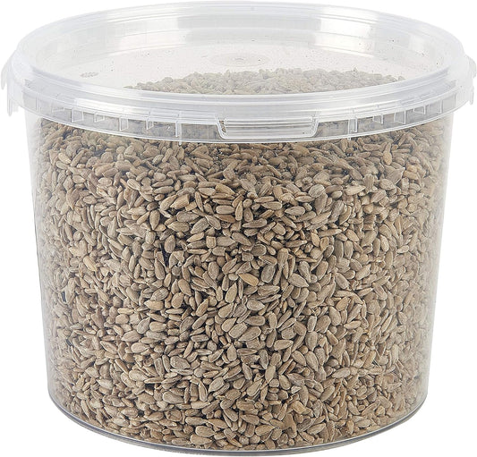 Garden Ting Premium Sunflower Hearts Kernels, Wild Bird Food Tub, 3 Litre