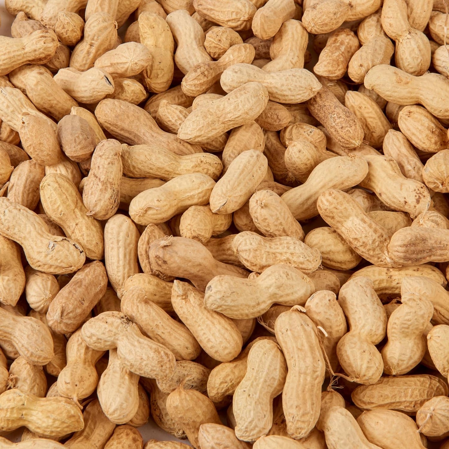 Peanuts in Shell 2.5L Tub