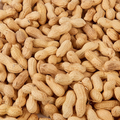 Peanuts in Shell 2.5L Tub