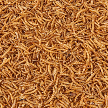 Dried Mealworms 2.5L Tub